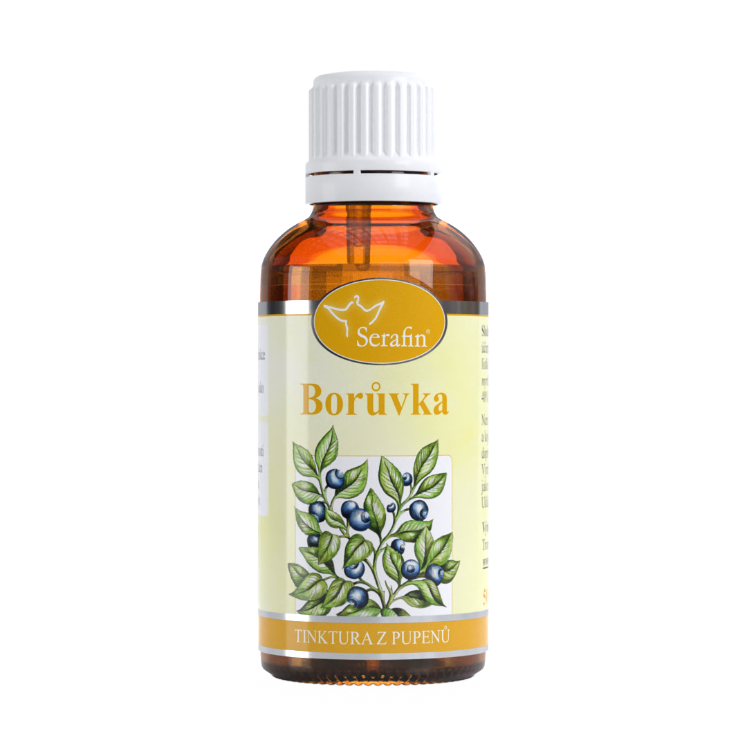 Borůvka – tinktura z pupenů | Serafin byliny