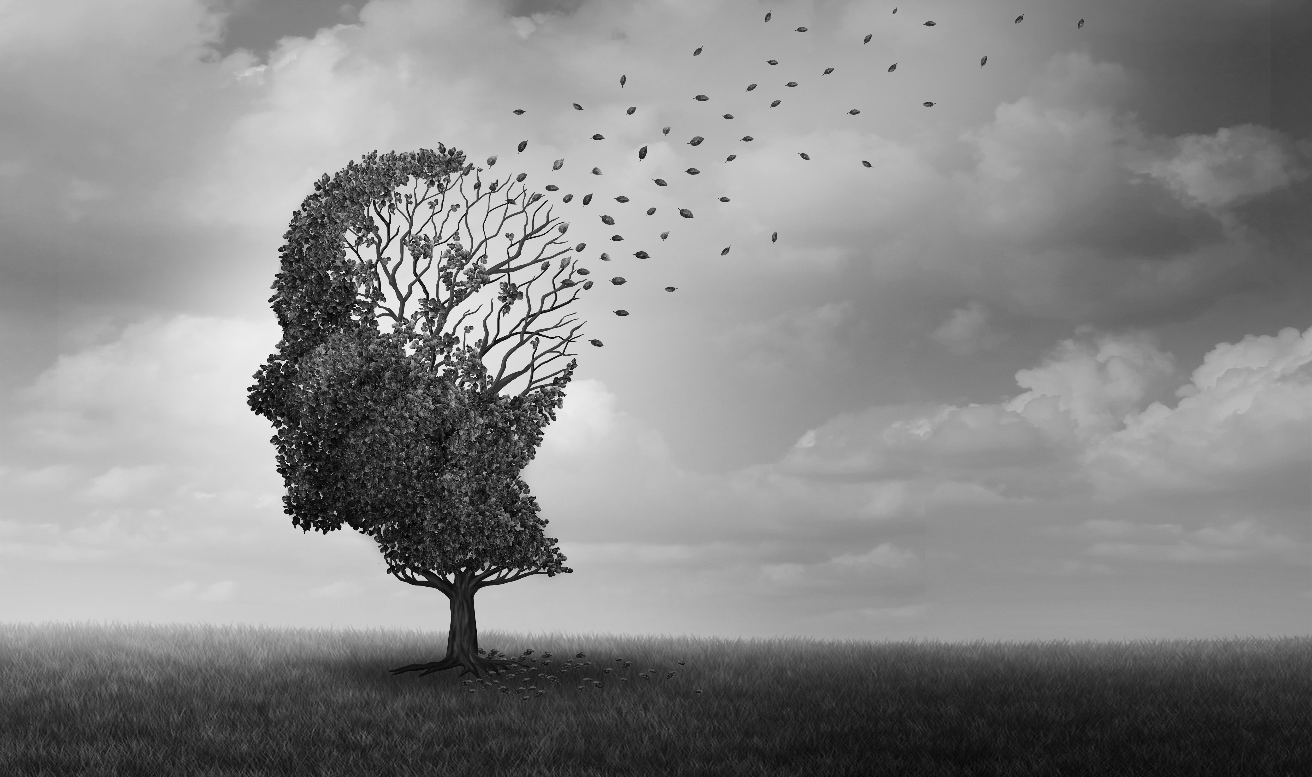 Článek - Alzheimerova choroba | Serafin byliny